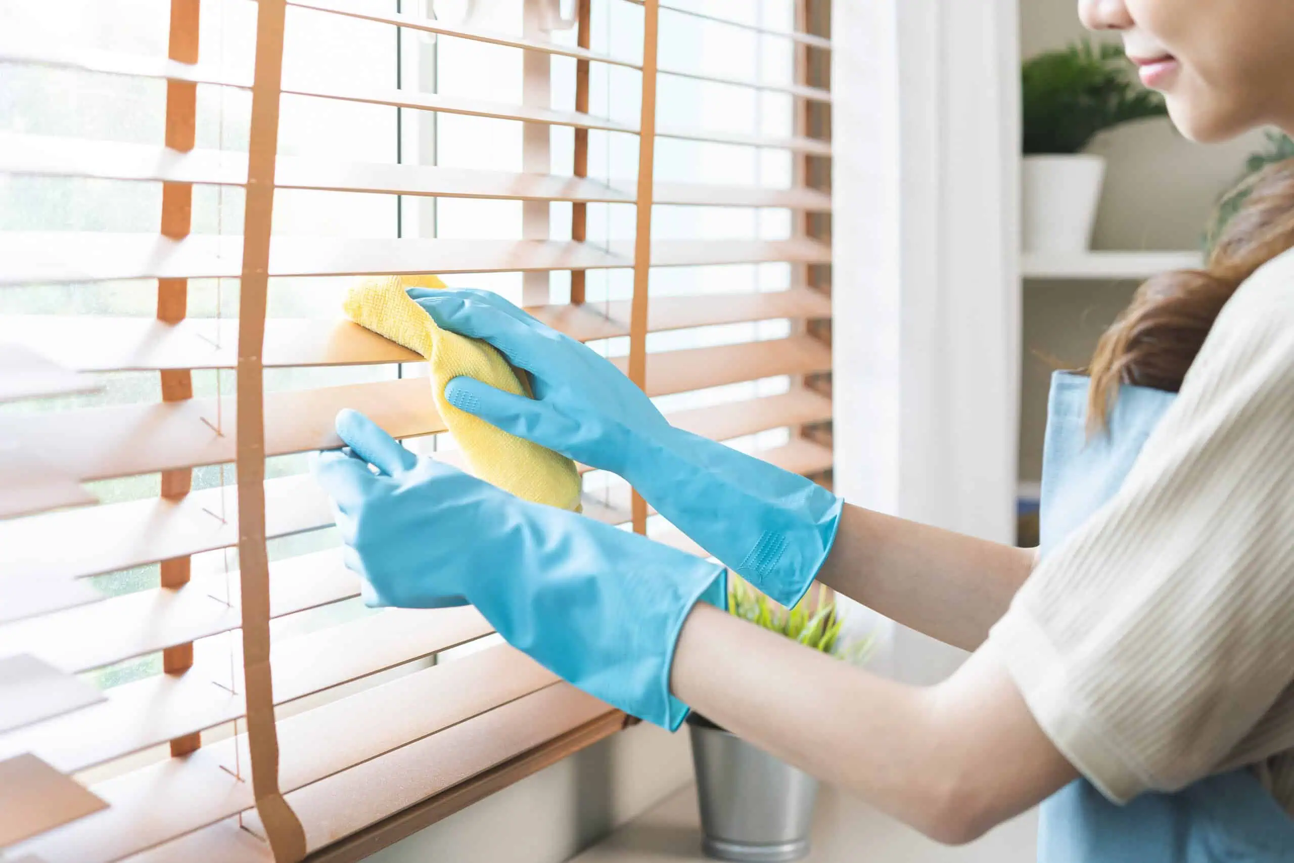 House Cleaning Insurance Massachusetts